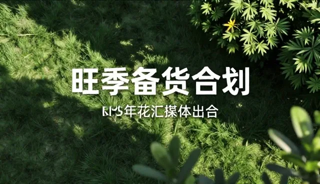 活动策划执行中平面素材的使用与维护